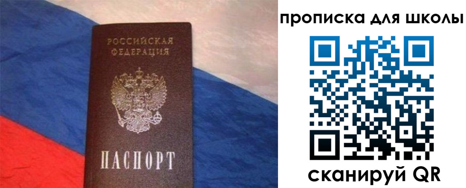 прописка поиск в Камчатском крае